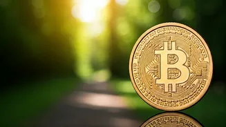 Beyond the Bank Balance: Science Explains Why More Money Doesn't Always Mean More Joy