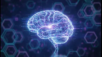 The University Could Make Karnataka A Magnet For Indian And Global AI Researchers
