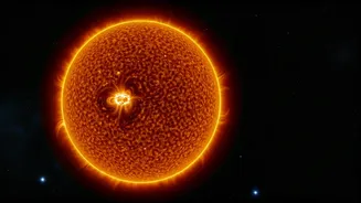 Kepler's Record Is The Oldest Scientific Sunspot Depiction