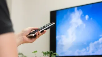 A Crowded August Streaming Calendar Rewards Viewers Who Rotate Subscriptions