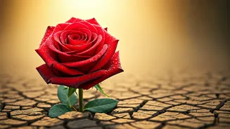 Osho's 5 Uncomfortable Truths About Love: Insights That Still Resonate