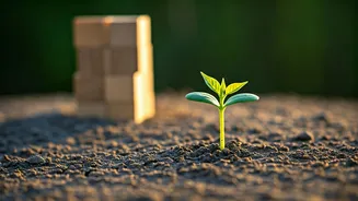 The Homegrown Secret: How Chores Shape Successful, Resilient Children