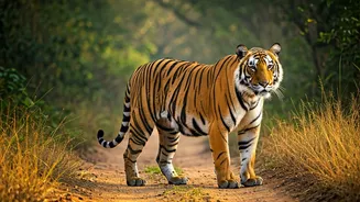 Wildlife Photography Expeditions Draw Huge Crowds To Central Reserves