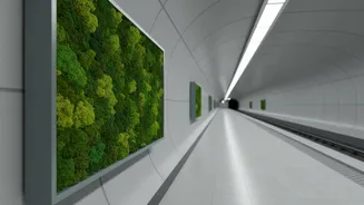 How Bio-Engineered Moss Panels Absorb Commuter-Generated Dust Inside Metro Platforms Efficiently
