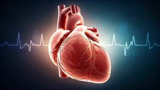 Women's Heart Health Unveiled: Understanding Risks, Symptoms, and Prevention