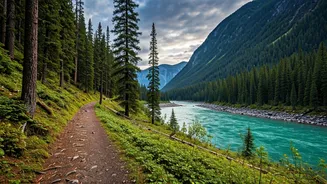 Mastering New Zealand's Great Walks: Your Ultimate Booking Guide