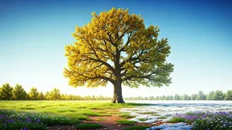The Seasonal Secret To Better Health