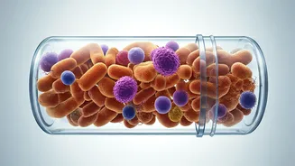 7 Tips for a Happy Gut: Beat Bloating Naturally