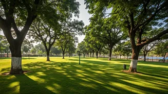 Ahmedabad's Green Push: A Gujarat Hardlook