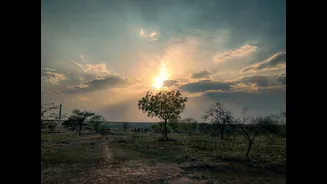 India faces severe heatwave impacts due to Super El Niño