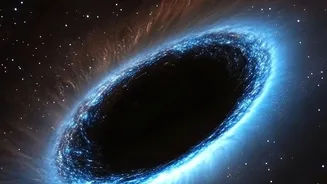 The Role of a Passing Star Being Torn Apart in NASA Swift's Off-Centre Black-Hole Discovery