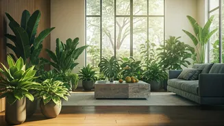 Plant-Filled Rooms Feel Less Harsh And Crowded