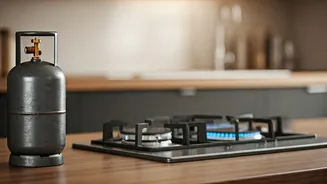 LPG vs. PNG: Understanding the Switch to Piped Natural Gas for Indian Homes