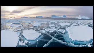 Sea Ice Changes In Antarctica Remain A Global Focus