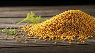 Unlock Culinary Magic: 5 Creative Ways to Use Fennel Pollen in Your Kitchen