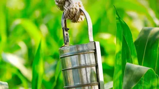 How to pick a reliable tiffin service