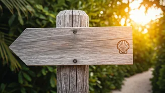 Related Stories banner