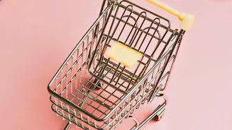 Why The 48 Hour Checkout Rule Prevents Regretful Online Shopping Purchases Every Month