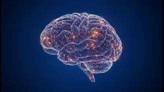 As Researchers Study Earlier Disease Signals, Alzheimer's-Linked Blood Proteins In Midlife Becomes A Timely Story
