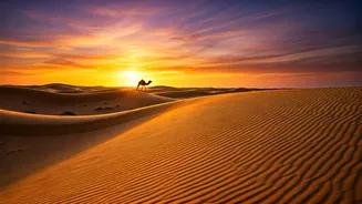 Thar Desert Escapes Are Back On The Table