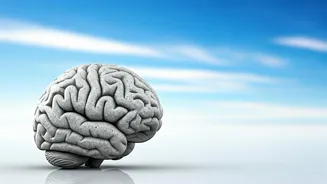 Navigating Stress: Mental Health in Challenging Times