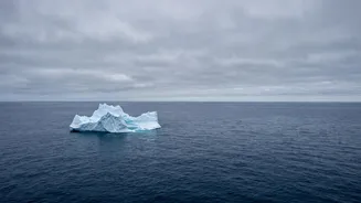 Kerguelen Penguin Faces A Climate-Related Habitat Warning
