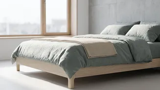 How Simple Environmental Changes Like Morning Sunlight Improve Nightly Sleep Rest Restoration Overall