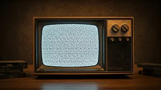 Stranger Things Finale: Noah Schnapp's Plea to Fans