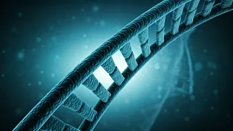 Beyond Cervical Cancer: Why the HPV Vaccine is Crucial for Boys' Health