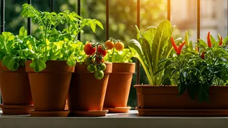 Fresh Vegetables Start At Home