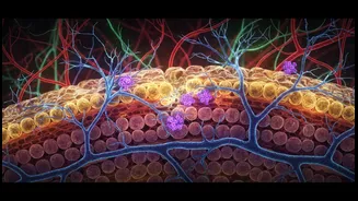 Why microscopic gatekeepers act as first defense line against progressive Alzheimer's