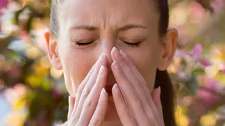 When Nasal Symptoms Need Medical Attention: Herbal Steam And Sinus Relief Claims In Focus