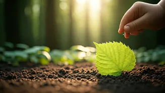 Learning About Nature Is Becoming Hands-On