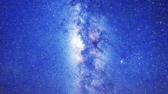 Milky Way Halo Stars Lead Astronomers to a Galactic Flip Theory