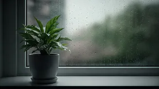Keep Your Home Fresh Despite The Rain