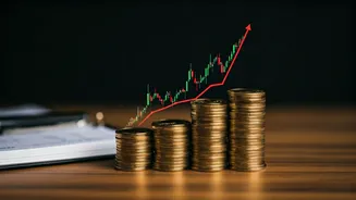 Navigating Finances: Essential Tips & Insights for Indians