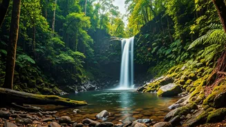 Unveil Rain Mysteries Tracking Hidden Waterfall Trails Wayanad Dense Forest