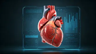 Related Stories banner