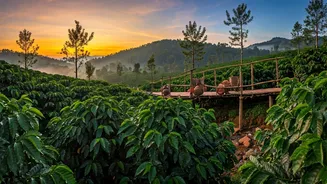 Coorg Calling: 5 Getaways for Your Inner Explorer