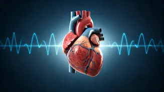 Unlock Heart Health: The Cardiologist's Secrets to Superior Sleep Hygiene