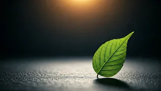 Beginners Need Permission To Meditate Imperfectly