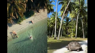 Why Should Desroches Island In Seychelles Be On Every Luxury Traveller’s Bucket List?