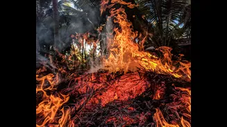 Understanding Heatwaves: Their Impact and How India Can Respond