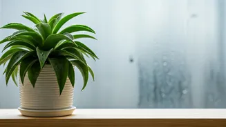 Humidity-Proof Your Home With These Simple Tips