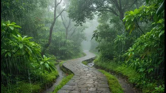 Monsoon Magic Meets Smart Travel In Western Ghats