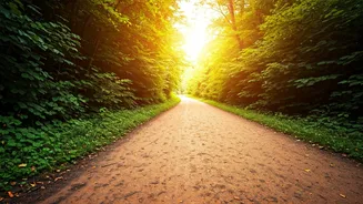 5,000 Steps a Day: Alzheimer's Prevention Unveiled