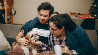 Estudo revela que cães e humanos envelhecem de forma parecida; entenda