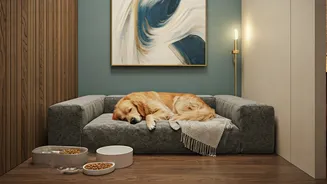 Mumbai, Bengaluru Experience Rise In Premium Pet Stays