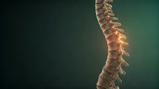 Sameera Reddy's 5 Core Exercises for a Stronger Back and Better Stability