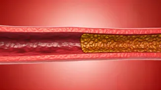 Improve Artery Health With Natural Drinks